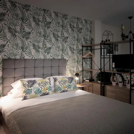 The Cozy Studio, Centre * וארנה
